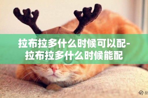 拉布拉多什么時候可以配-拉布拉多什么時候能配