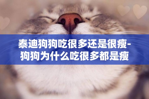 泰迪狗狗吃很多還是很瘦-狗狗為什么吃很多都是瘦