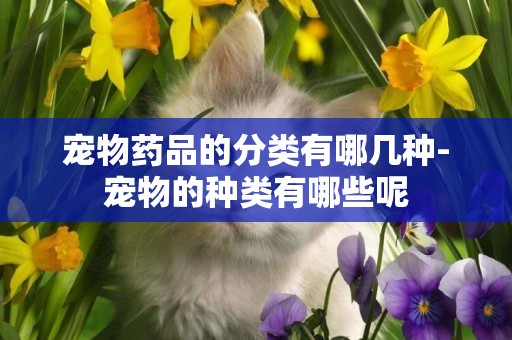 寵物藥品的分類有哪幾種-寵物的種類有哪些呢
