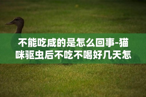不能吃咸的是怎么回事-貓咪驅蟲后不吃不喝好幾天怎么回事