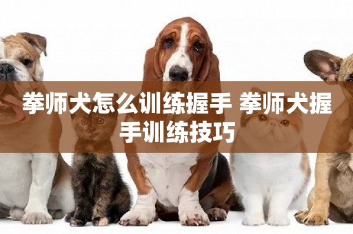 拳師犬怎么訓練握手 拳師犬握手訓練技巧