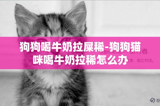 狗狗喝牛奶拉屎稀-狗狗貓咪喝牛奶拉稀怎么辦