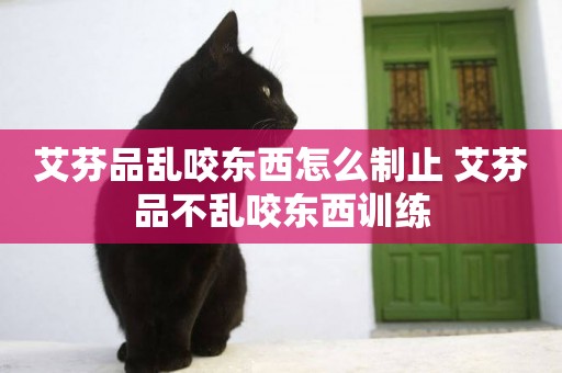 艾芬品亂咬東西怎么制止 艾芬品不亂咬東西訓練