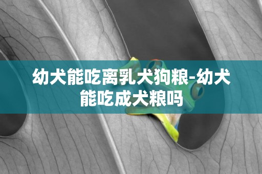 幼犬能吃離乳犬狗糧-幼犬能吃成犬糧嗎