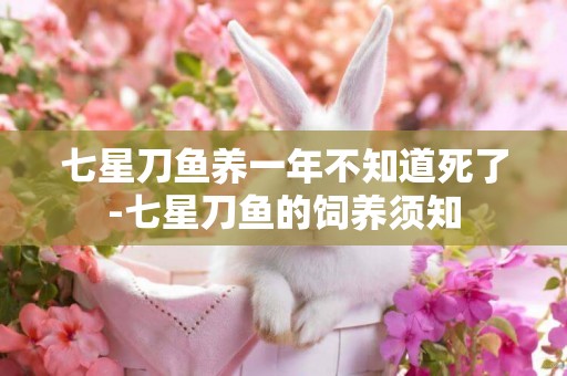七星刀魚養一年不知道死了-七星刀魚的飼養須知