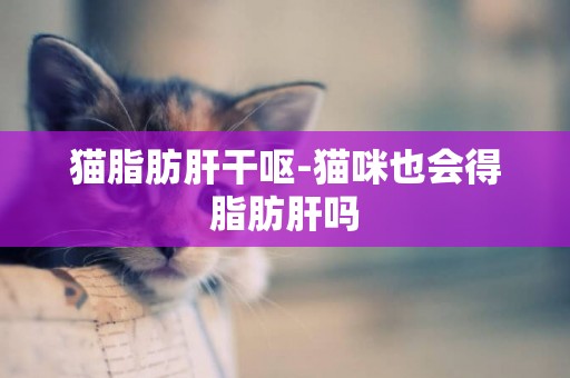 貓脂肪肝干嘔-貓咪也會得脂肪肝嗎