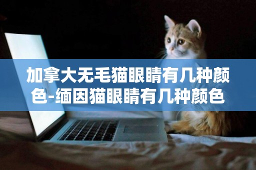 加拿大無毛貓眼睛有幾種顏色-緬因貓眼睛有幾種顏色