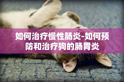 如何治療慢性腸炎-如何預防和治療狗的腸胃炎