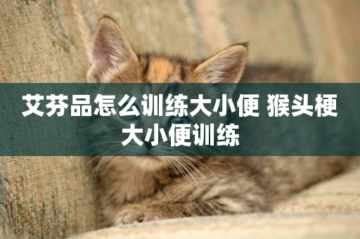 艾芬品怎么訓練大小便 猴頭梗大小便訓練