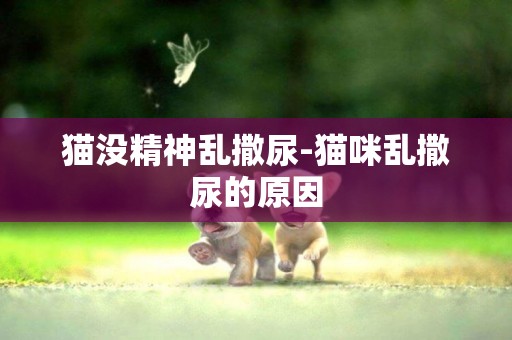貓沒精神亂撒尿-貓咪亂撒尿的原因