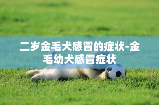 二歲金毛犬感冒的癥狀-金毛幼犬感冒癥狀