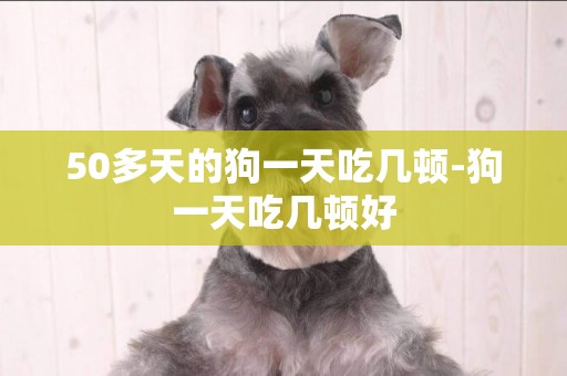 50多天的狗一天吃幾頓-狗一天吃幾頓好