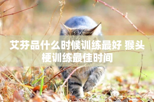 艾芬品什么時候訓練最好 猴頭梗訓練最佳時間
