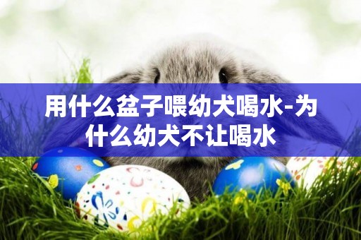 用什么盆子喂幼犬喝水-為什么幼犬不讓喝水