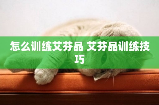 怎么訓練艾芬品 艾芬品訓練技巧