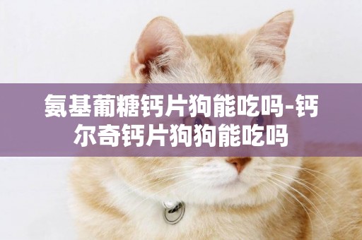 氨基葡糖鈣片狗能吃嗎-鈣爾奇鈣片狗狗能吃嗎