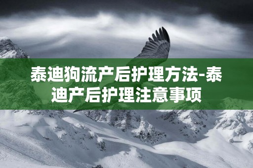 泰迪狗流產后護理方法-泰迪產后護理注意事項