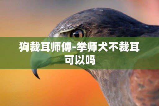狗裁耳師傅-拳師犬不裁耳可以嗎