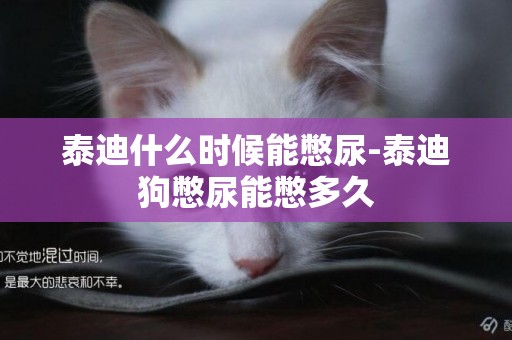 泰迪什么時候能憋尿-泰迪狗憋尿能憋多久