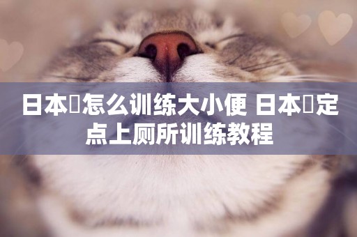 日本狆怎么訓練大小便 日本狆定點上廁所訓練教程