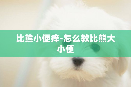 比熊小便癢-怎么教比熊大小便