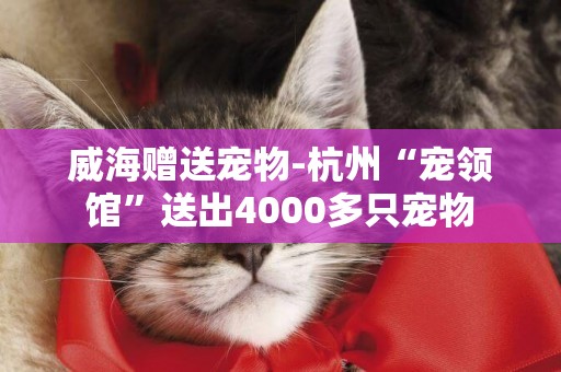 威海贈送寵物-杭州“寵領館”送出4000多只寵物