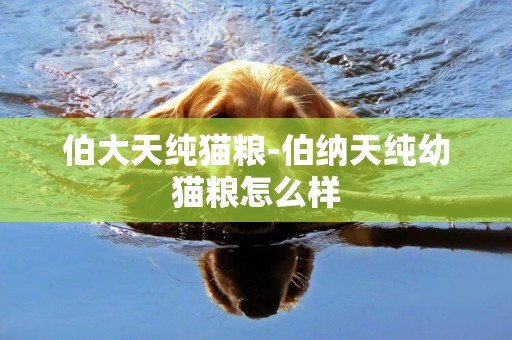 伯大天純貓糧-伯納天純幼貓糧怎么樣