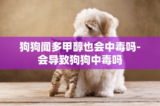 狗狗聞多甲醇也會中毒嗎-會導致狗狗中毒嗎