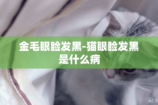 金毛眼瞼發黑-貓眼瞼發黑是什么病
