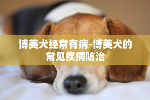 博美犬經常有病-博美犬的常見疾病防治