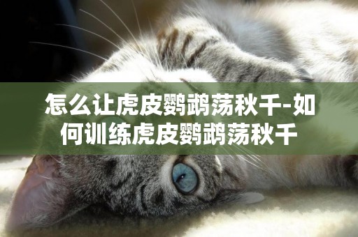 怎么讓虎皮鸚鵡蕩秋千-如何訓練虎皮鸚鵡蕩秋千