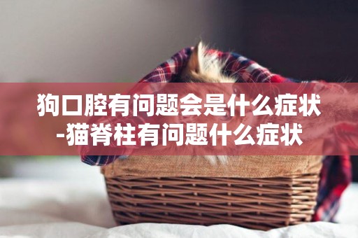 狗口腔有問題會是什么癥狀-貓脊柱有問題什么癥狀