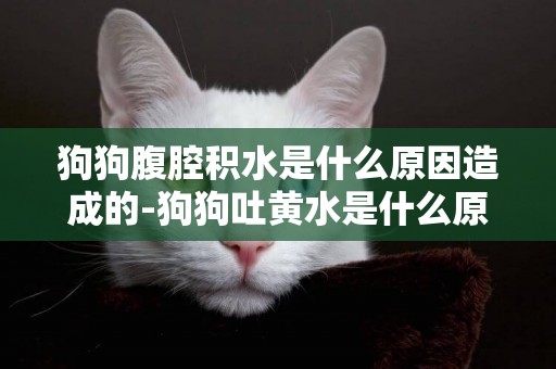 狗狗腹腔積水是什么原因造成的-狗狗吐黃水是什么原因造成的