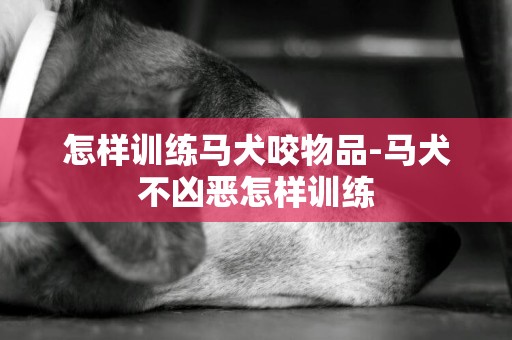 怎樣訓練馬犬咬物品-馬犬不兇惡怎樣訓練