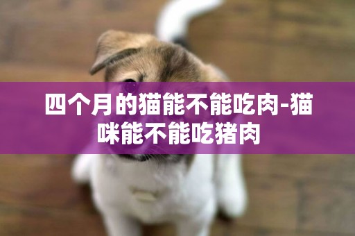 四個月的貓能不能吃肉-貓咪能不能吃豬肉