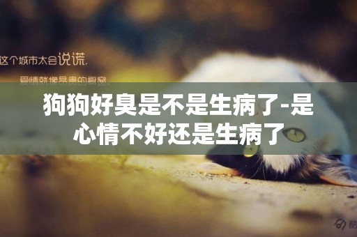 狗狗好臭是不是生病了-是心情不好還是生病了