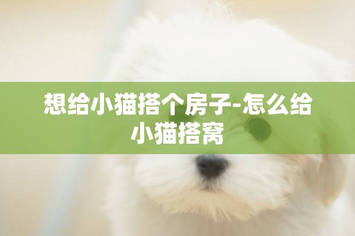 想給小貓搭個房子-怎么給小貓搭窩
