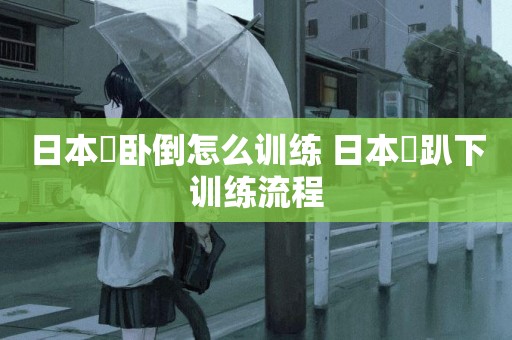 日本狆臥倒怎么訓練 日本狆趴下訓練流程
