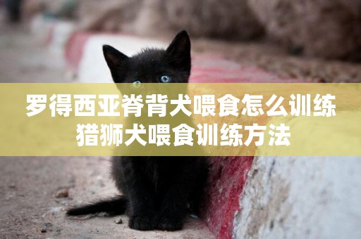 羅得西亞脊背犬喂食怎么訓練 獵獅犬喂食訓練方法