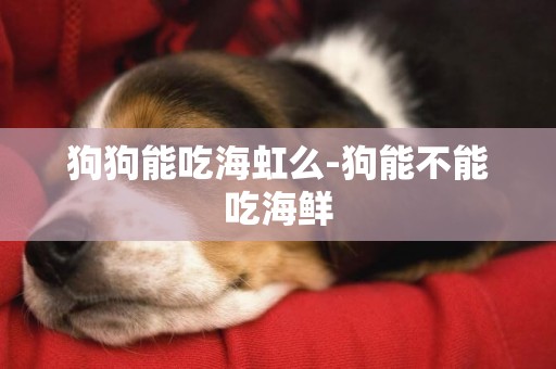 狗狗能吃海虹么-狗能不能吃海鮮