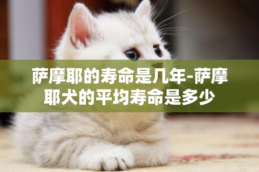 薩摩耶的壽命是幾年-薩摩耶犬的平均壽命是多少