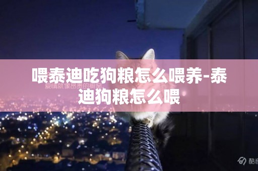 喂泰迪吃狗糧怎么喂養-泰迪狗糧怎么喂