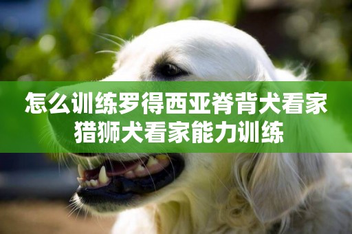 怎么訓練羅得西亞脊背犬看家 獵獅犬看家能力訓練