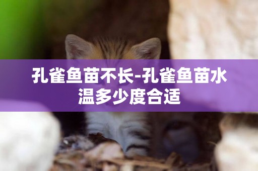 孔雀魚苗不長-孔雀魚苗水溫多少度合適