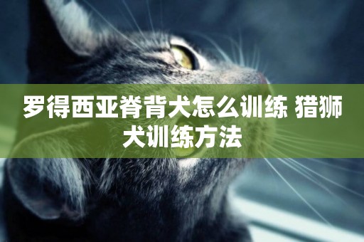 羅得西亞脊背犬怎么訓練 獵獅犬訓練方法