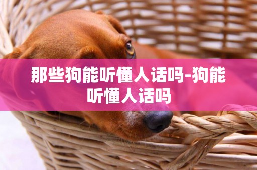 那些狗能聽懂人話嗎-狗能聽懂人話嗎