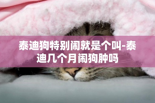 泰迪狗特別鬧就是個叫-泰迪幾個月鬧狗腫嗎