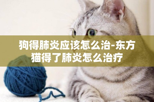 狗得肺炎應該怎么治-東方貓得了肺炎怎么治療