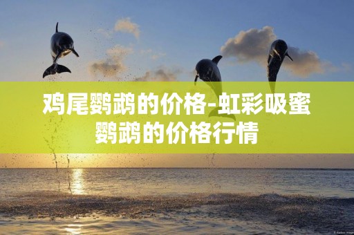 雞尾鸚鵡的價格-虹彩吸蜜鸚鵡的價格行情