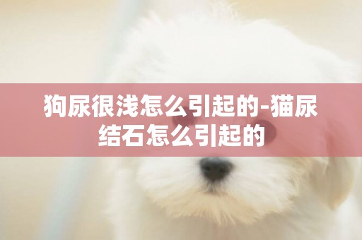 狗尿很淺怎么引起的-貓尿結石怎么引起的
